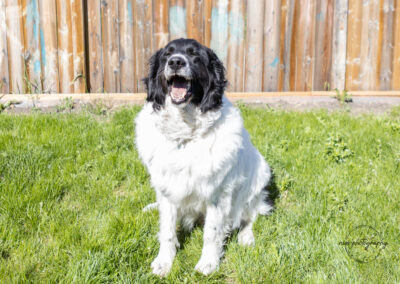 Tucker 2021-022