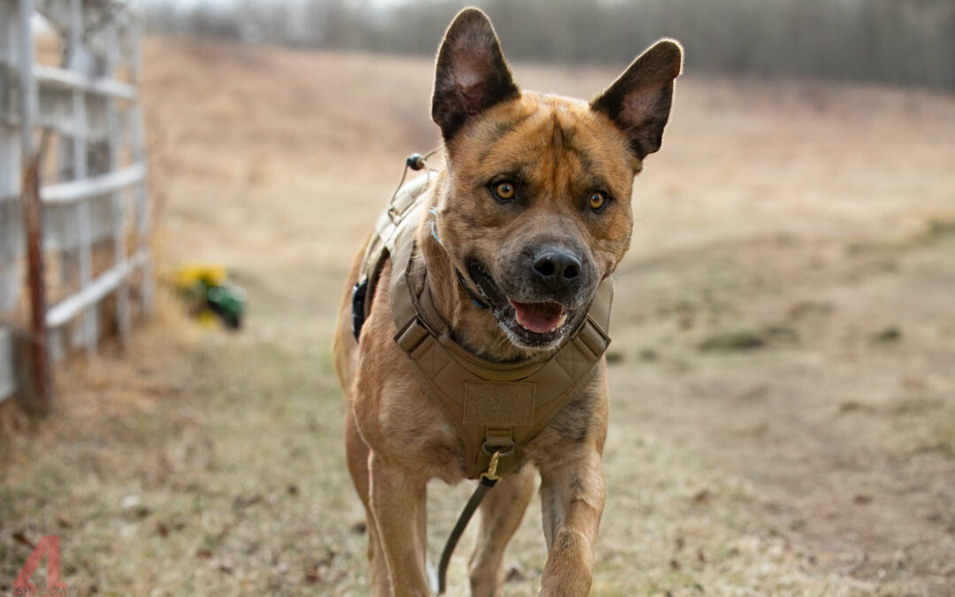 Quincy  2024-011 Applications on hold