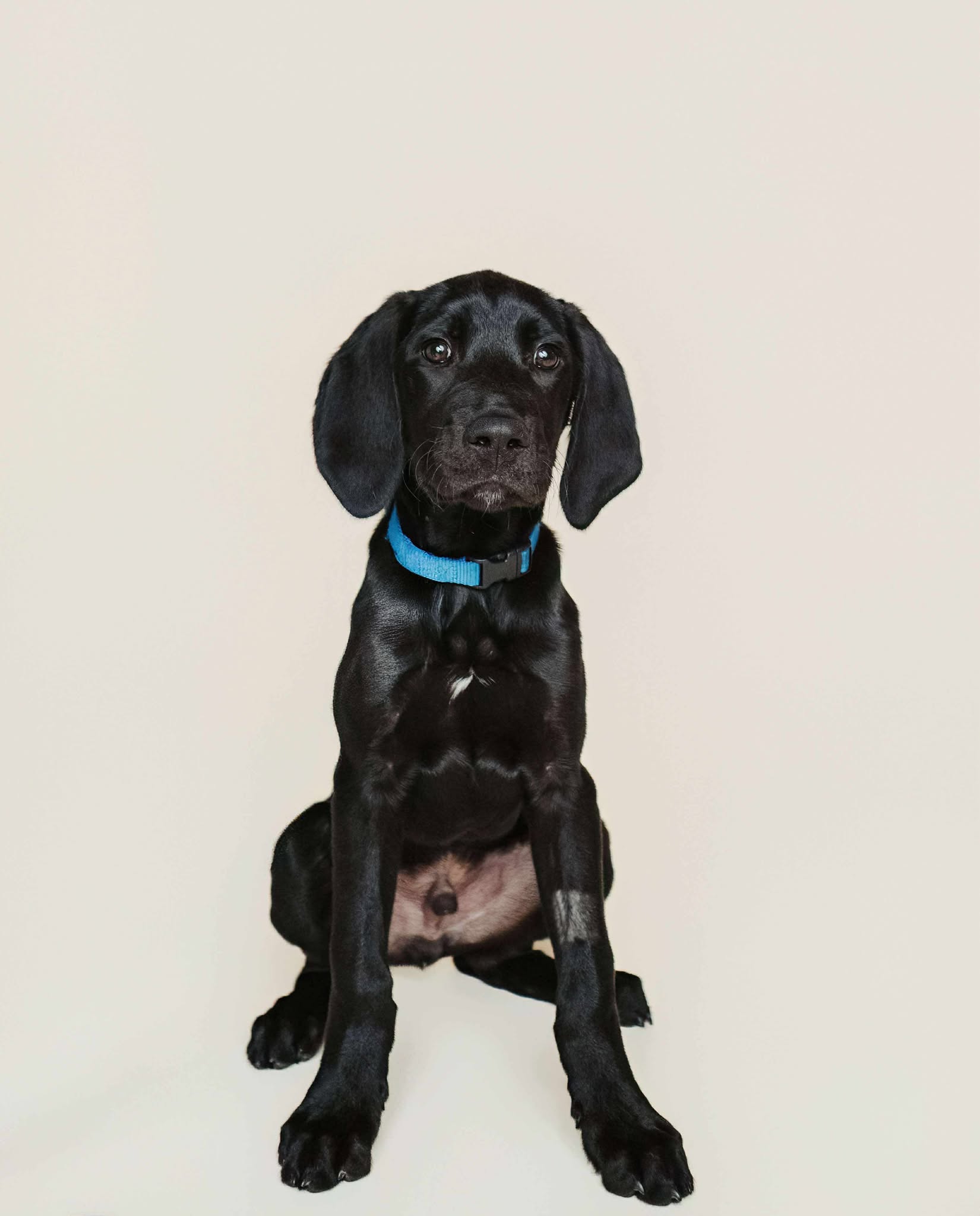 552152530_1136422985337738_6503742347482737014_n