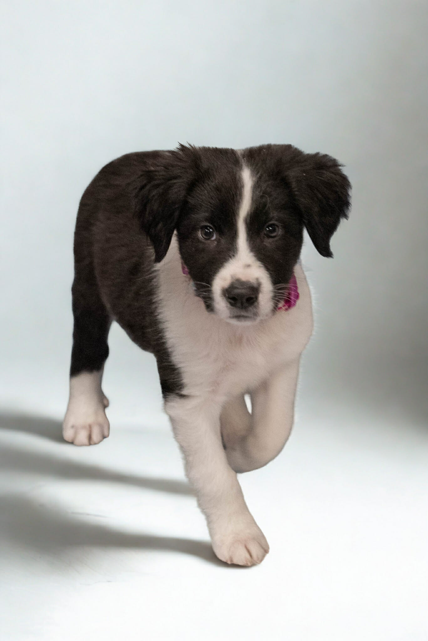 05addeed-d726-412e-81be-085a66693910