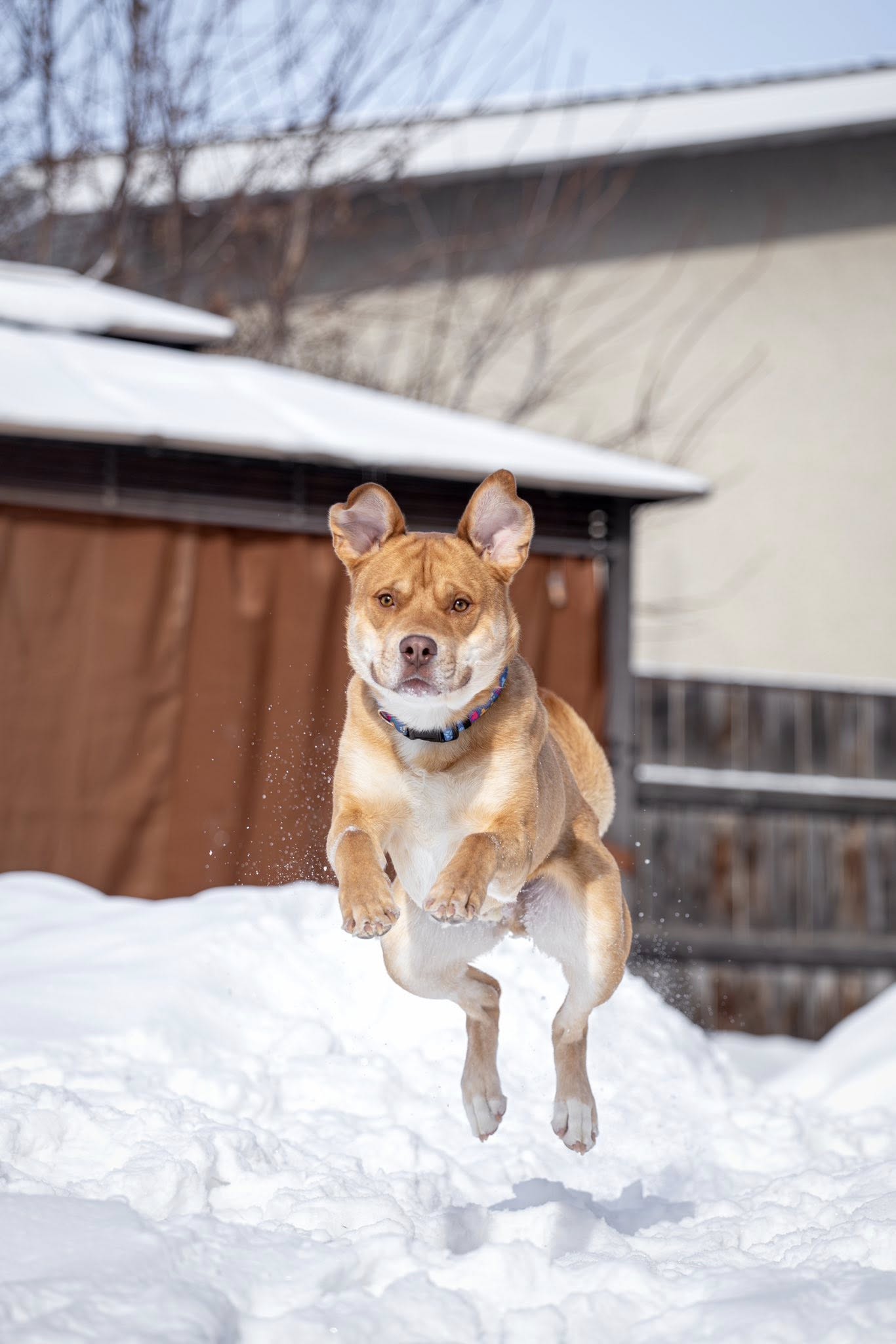 644545976_10173721568670304_7443990552158140008_n