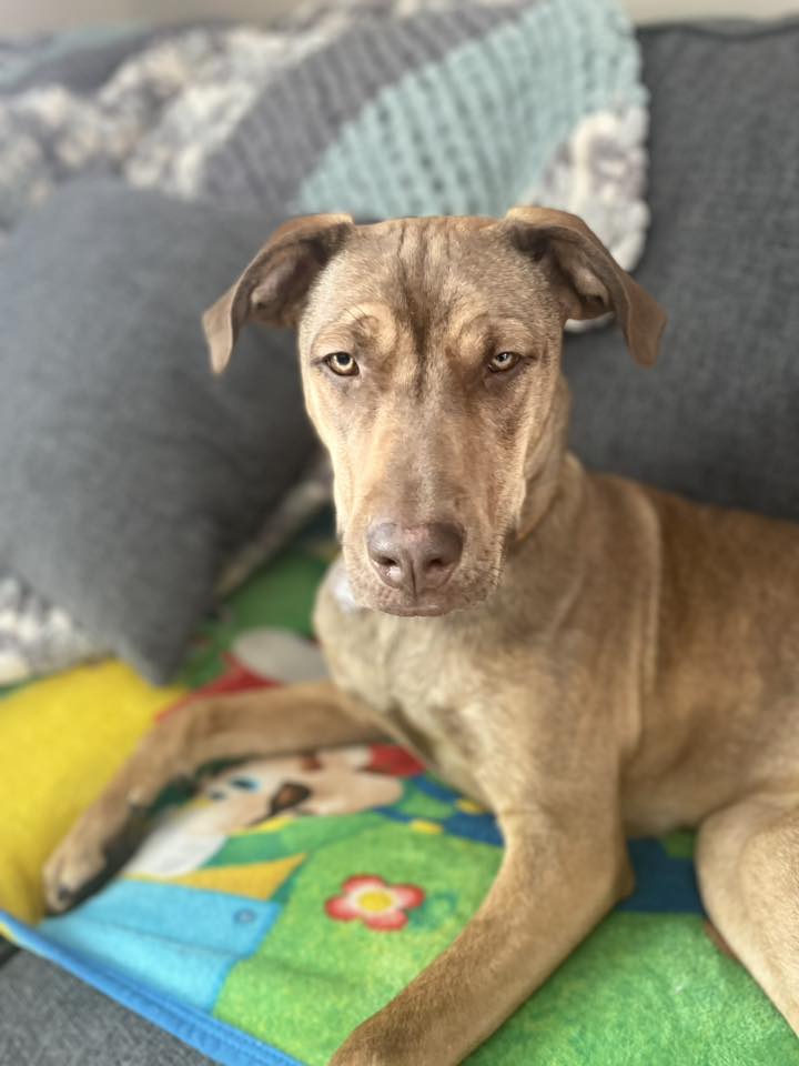 654270795_10174556314560171_487328108266312224_n